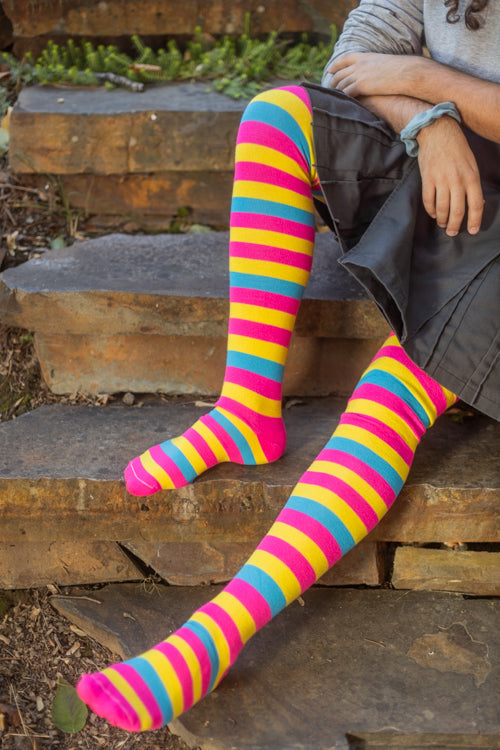 Oops! XL Foot Longer Original Pride Stripes Socks - Pansexual