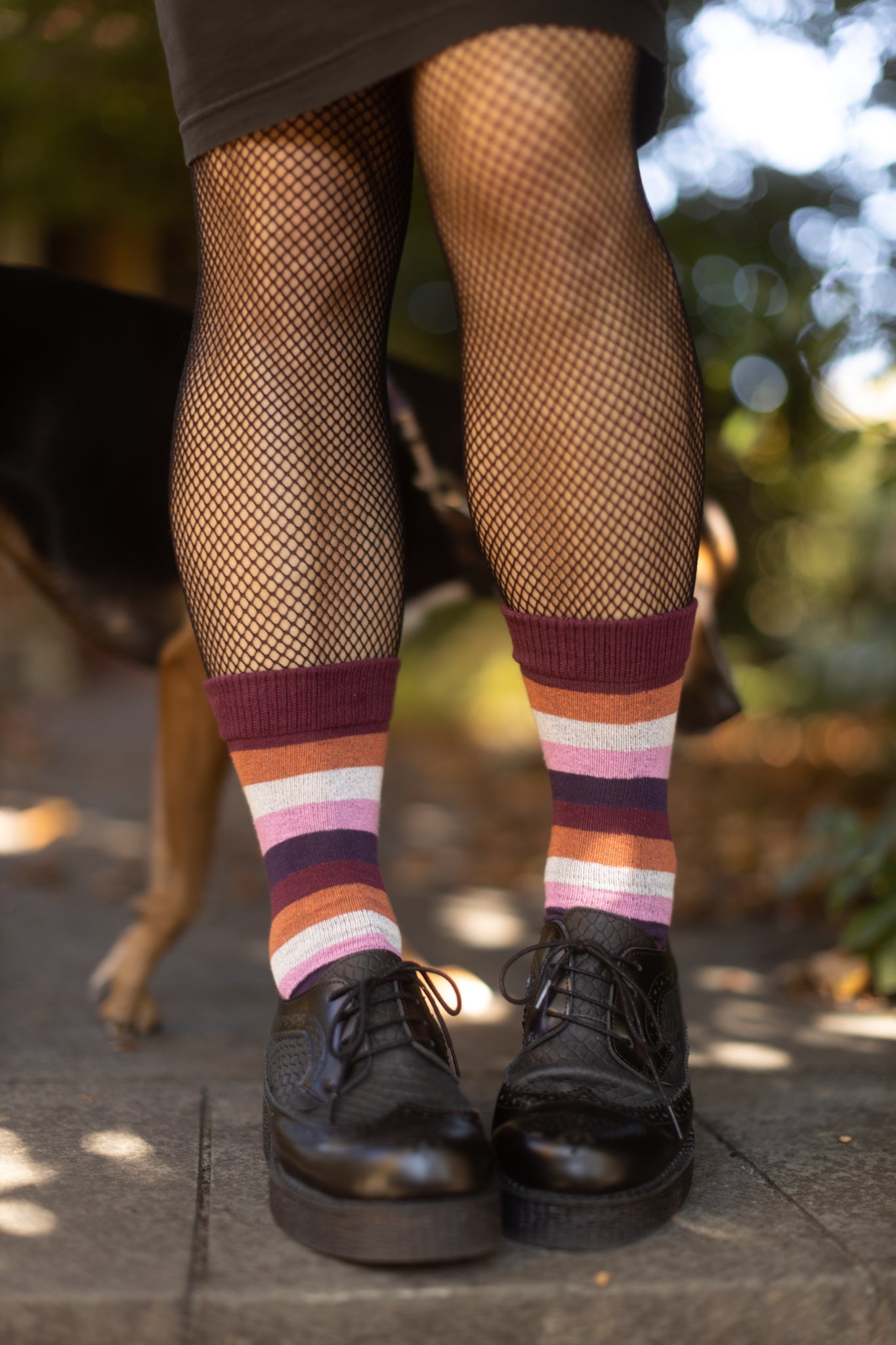Pride Stripes Cotton Crew Socks