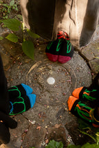 Botanical Nouveau Crew Socks