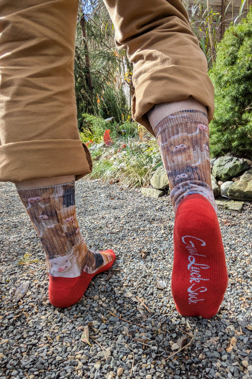 Highland Cows Printed Crew