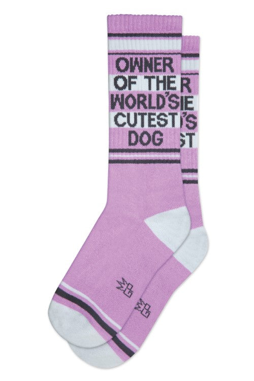 Owner of the World's Cutest Dog Crew