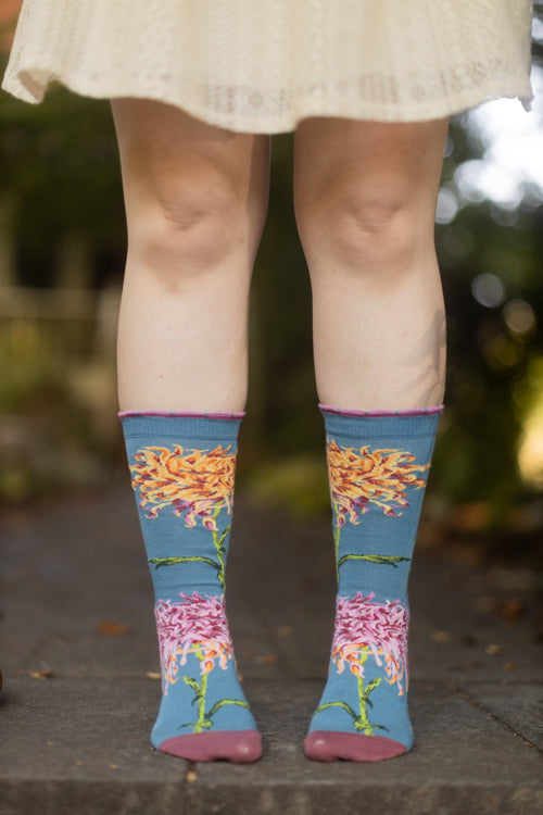 Kiku Chrysanthemum NYBG Crew