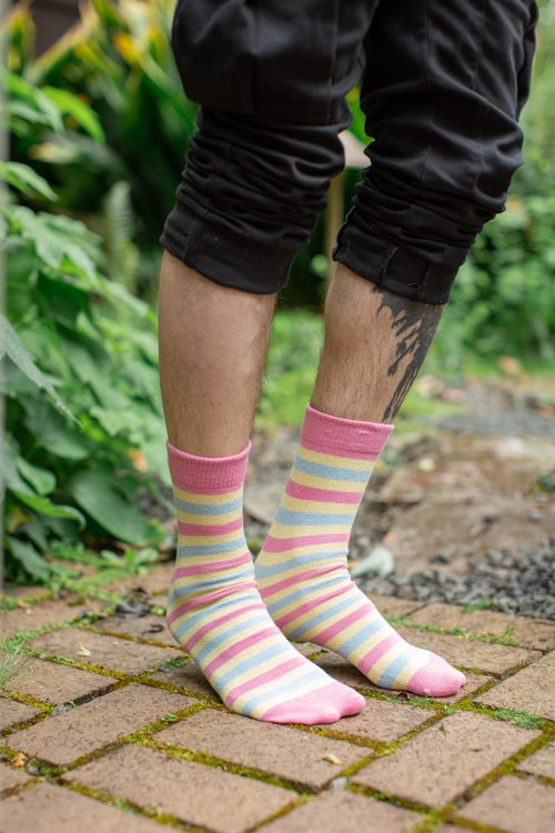 Pride Stripes Cotton Crew Socks