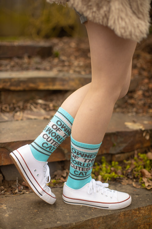 Owner of the World's Cutest Cat Crew