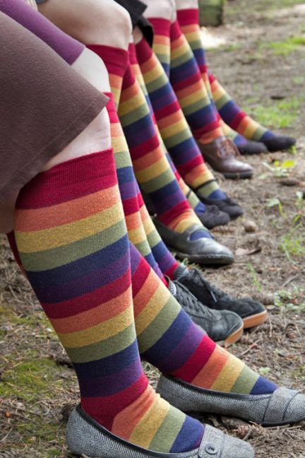 Harvest Rainbow Knee High