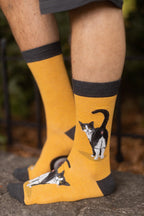 Tuxedo Cat Butt Crew