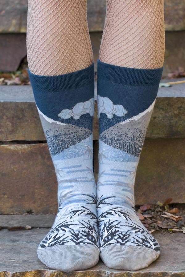 Winter Mount Fuji Midcalf